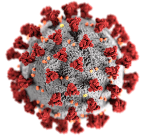 SARS-CoV-2_(CDC-23312) - Wikipedia - gemeinfrei -